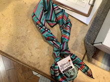 Load image into Gallery viewer, Wild Rags