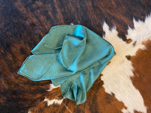 Load image into Gallery viewer, Wild Rags