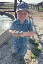 Load image into Gallery viewer, Mini Cattleman Polo
