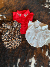 Load image into Gallery viewer, Faux collars
